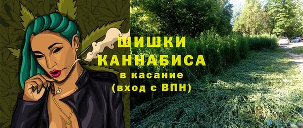 мяу мяу мука Аркадак