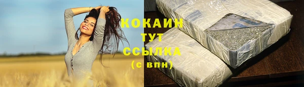 мяу мяу мука Аркадак