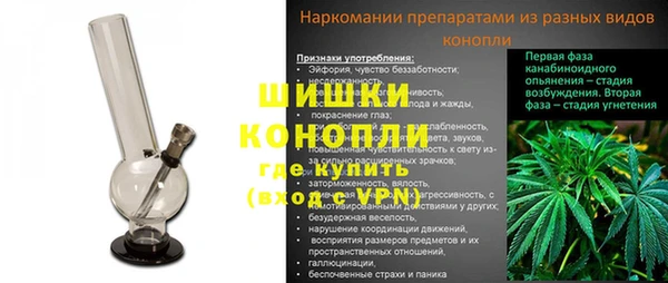 мяу мяу мука Аркадак